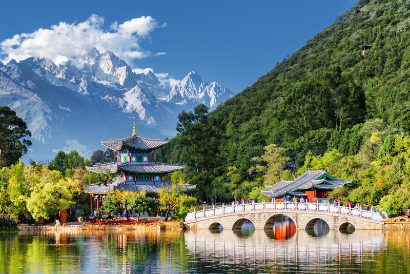 Hoa hồng hấp dẫn, dễ dàng bắt đầu ngay hôm nay